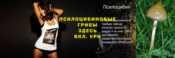 дурь Армянск
