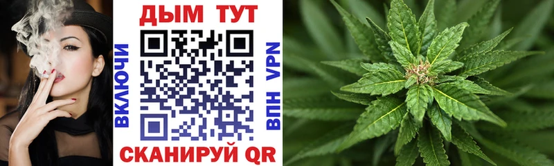 Бошки марихуана Bruce Banner где найти наркотики Оленегорск